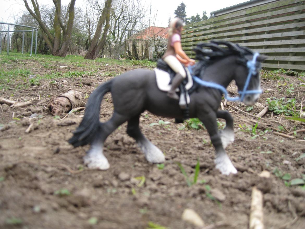 [Schleich] Shire Volume - Vi øver Dressur. billede 14