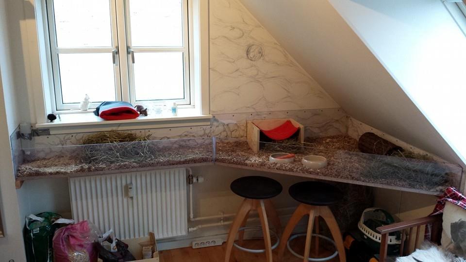 hjemmelavet Marsvine bur billede 12