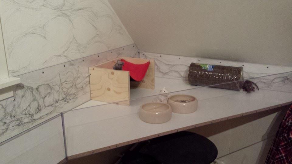 hjemmelavet Marsvine bur billede 11