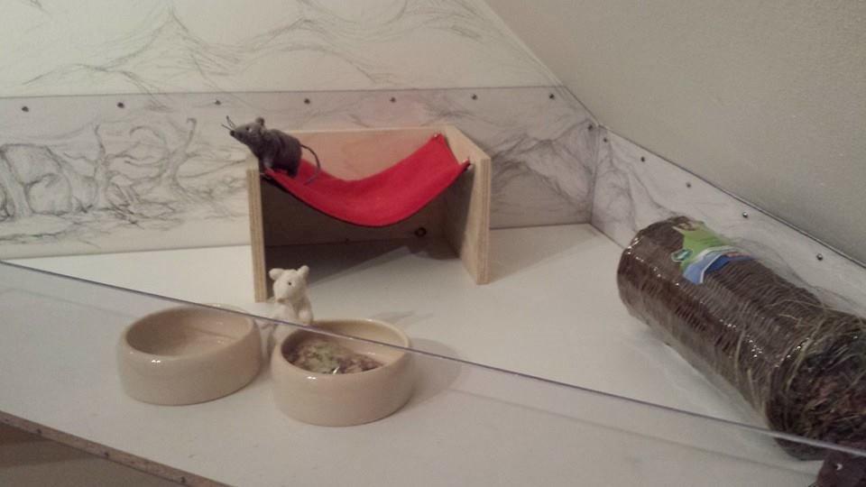 hjemmelavet Marsvine bur billede 10