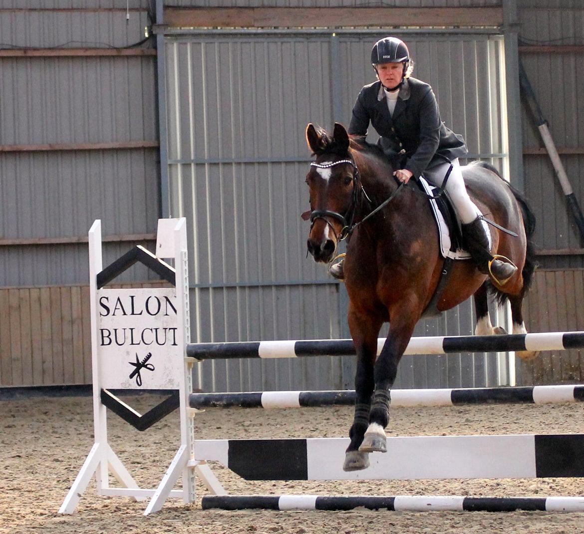 SRK spring stævne LA billede 1