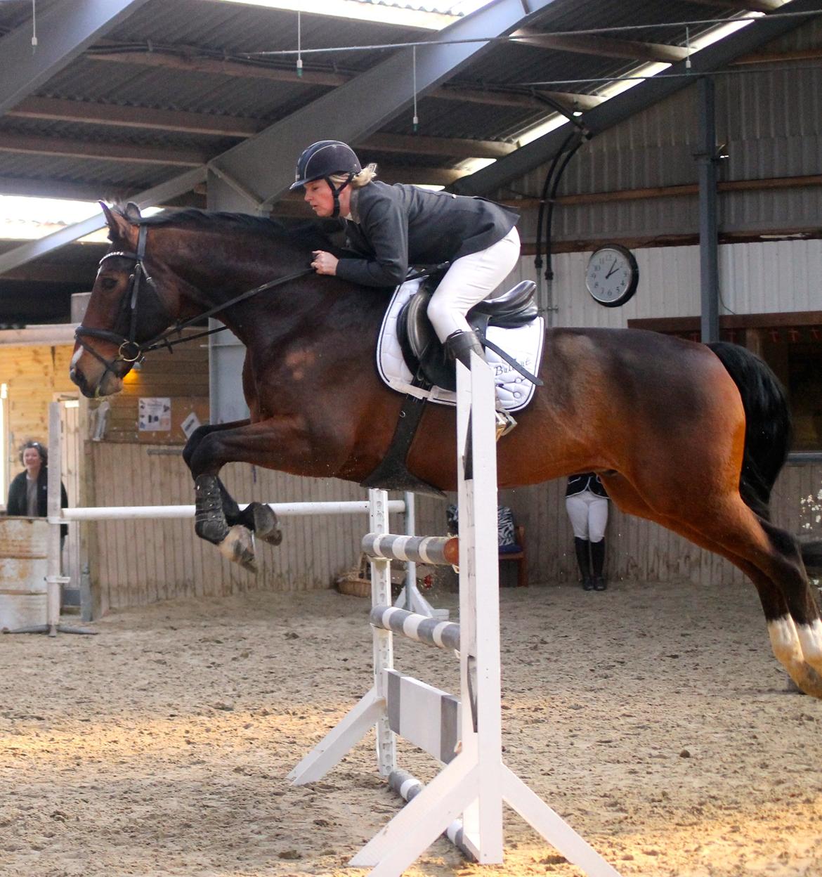 SRK spring stævne LA billede 5