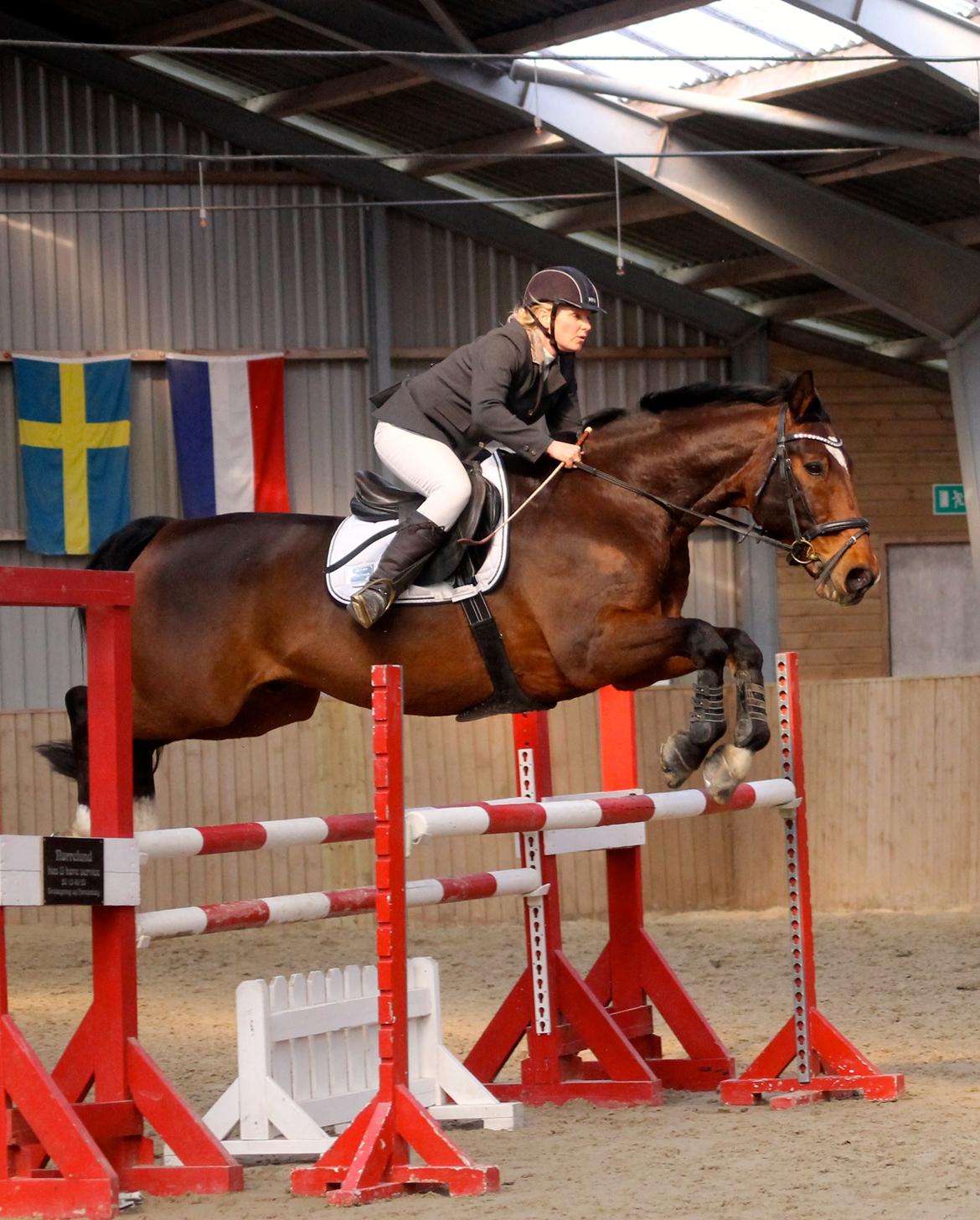 SRK spring stævne LA billede 6