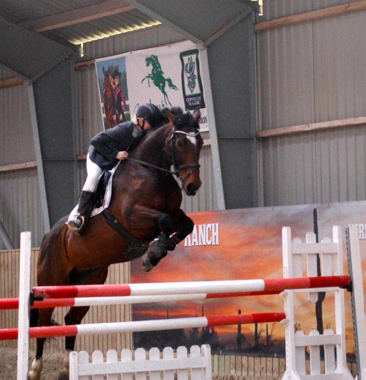 SRK spring stævne LA billede 7