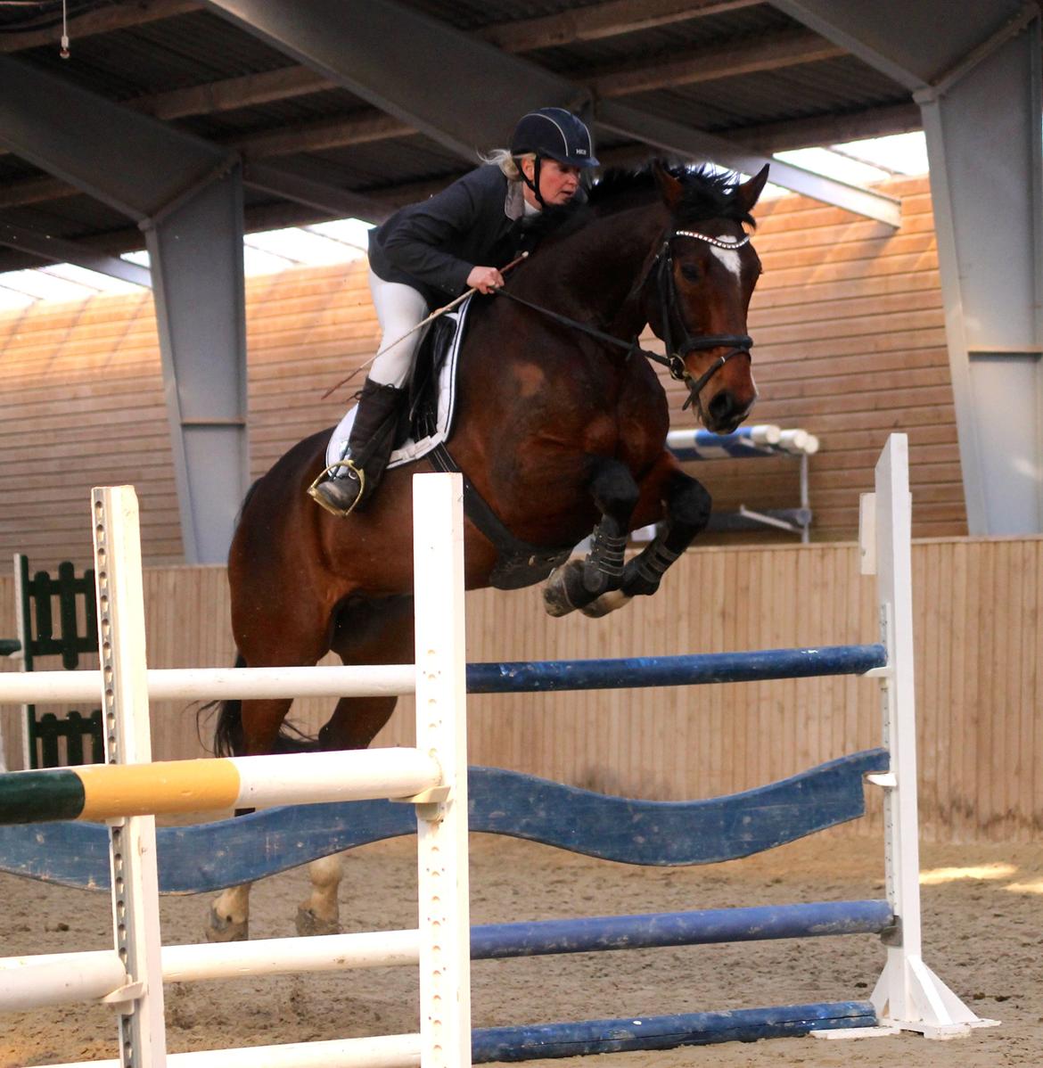 SRK spring stævne LA billede 8