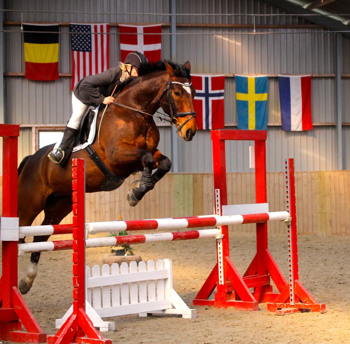 SRK spring stævne LA billede 2