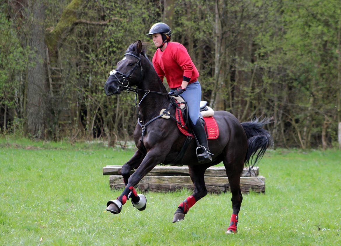 Terrænridning og Subaru Cup |  Emma Lindgreen Photography billede 1