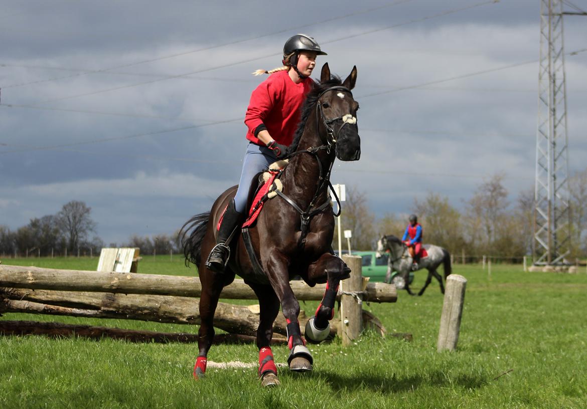 Terrænridning og Subaru Cup |  Emma Lindgreen Photography billede 3