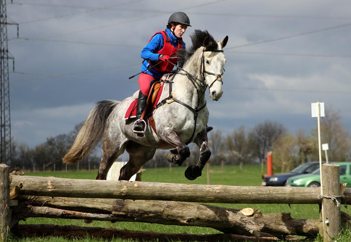 Terrænridning og Subaru Cup |  Emma Lindgreen Photography billede 4