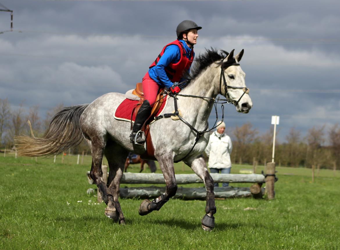 Terrænridning og Subaru Cup |  Emma Lindgreen Photography billede 5