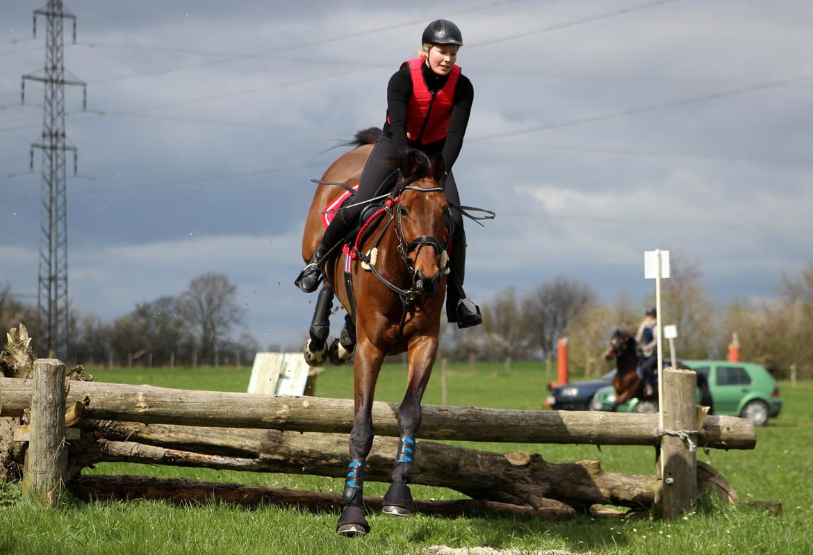 Terrænridning og Subaru Cup |  Emma Lindgreen Photography billede 6