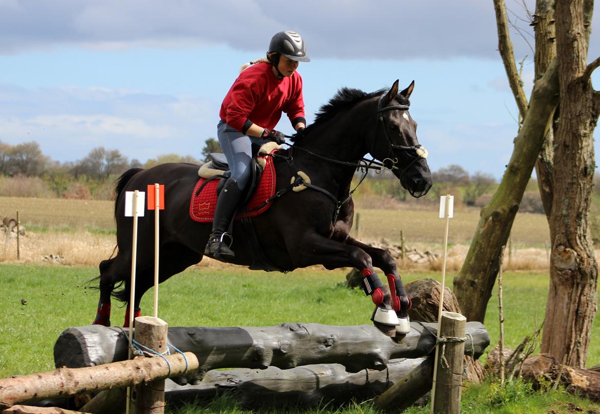 Terrænridning og Subaru Cup |  Emma Lindgreen Photography billede 7