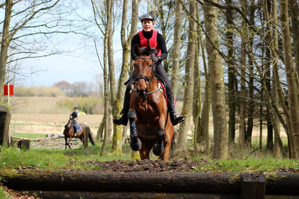 Terrænridning og Subaru Cup |  Emma Lindgreen Photography billede 8