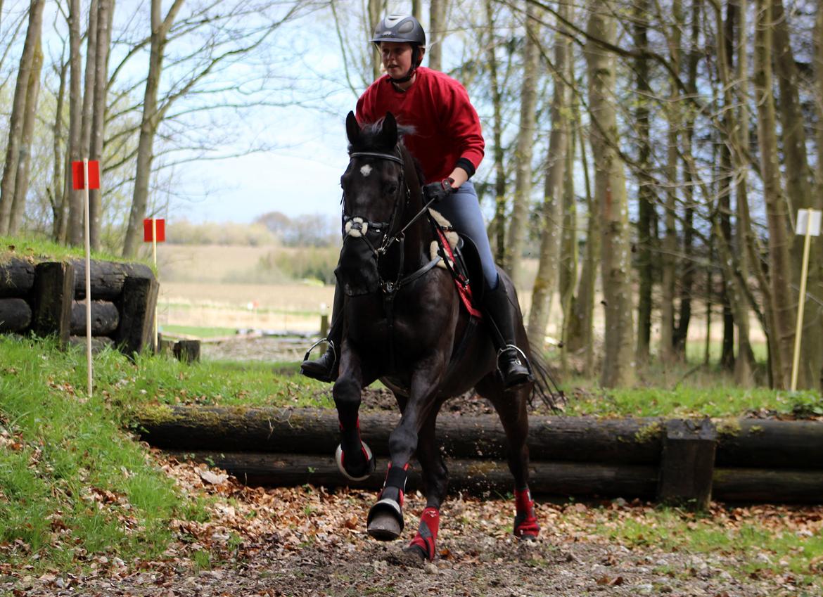 Terrænridning og Subaru Cup |  Emma Lindgreen Photography billede 9