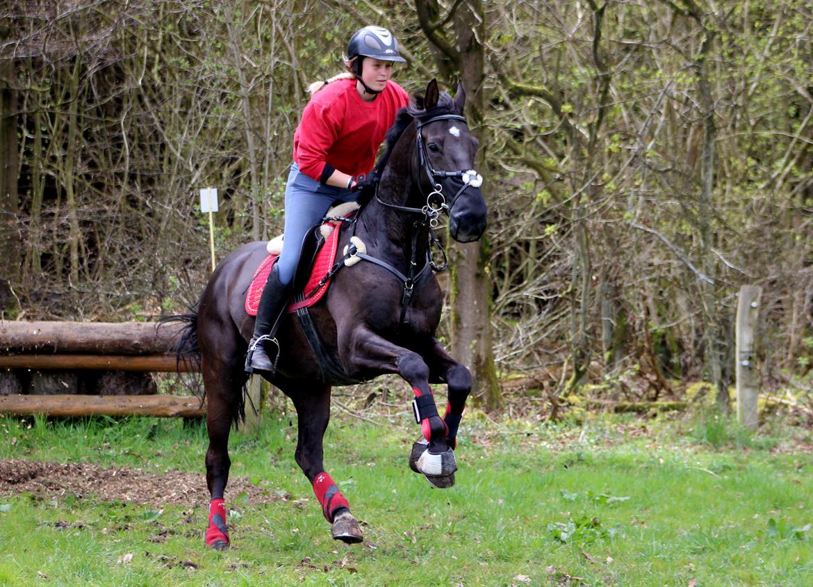 Terrænridning og Subaru Cup |  Emma Lindgreen Photography billede 10