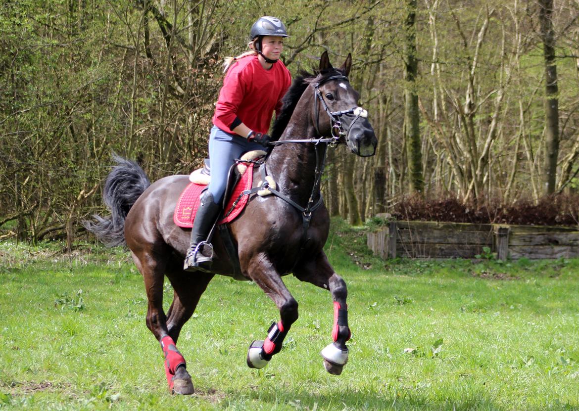 Terrænridning og Subaru Cup |  Emma Lindgreen Photography billede 11