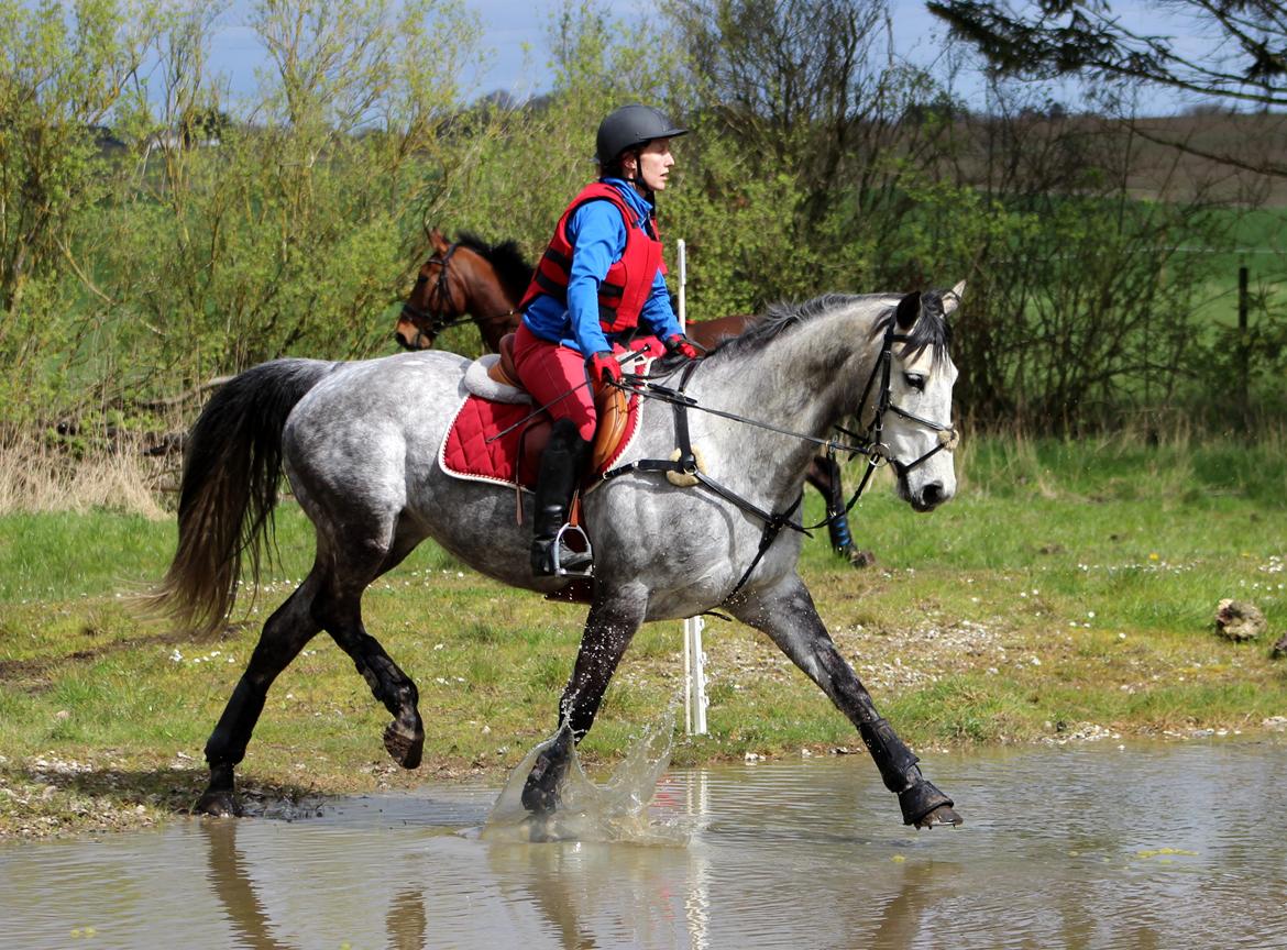 Terrænridning og Subaru Cup |  Emma Lindgreen Photography billede 12