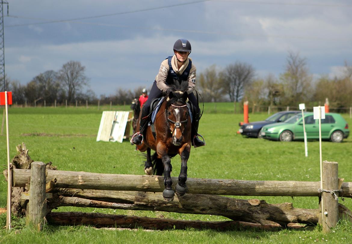 Terrænridning og Subaru Cup |  Emma Lindgreen Photography billede 2