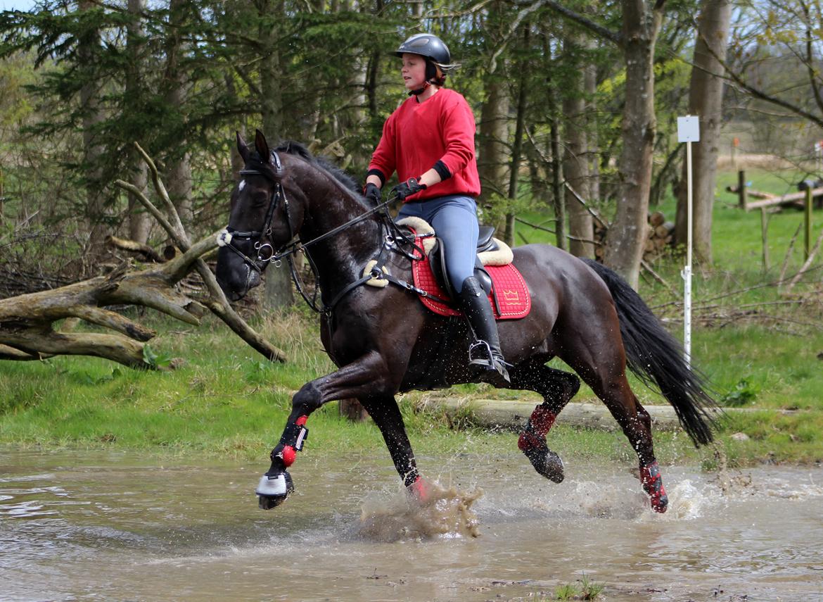 Terrænridning og Subaru Cup |  Emma Lindgreen Photography billede 14