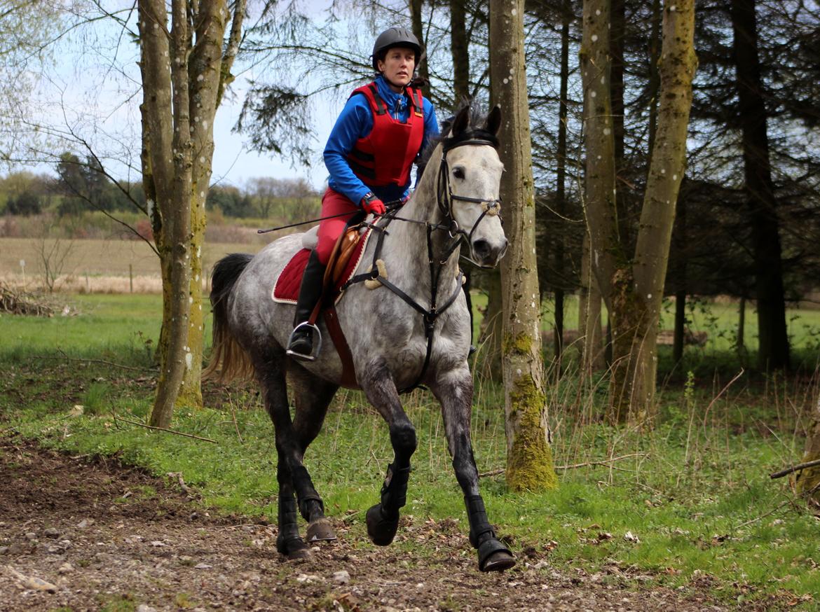 Terrænridning og Subaru Cup |  Emma Lindgreen Photography billede 15
