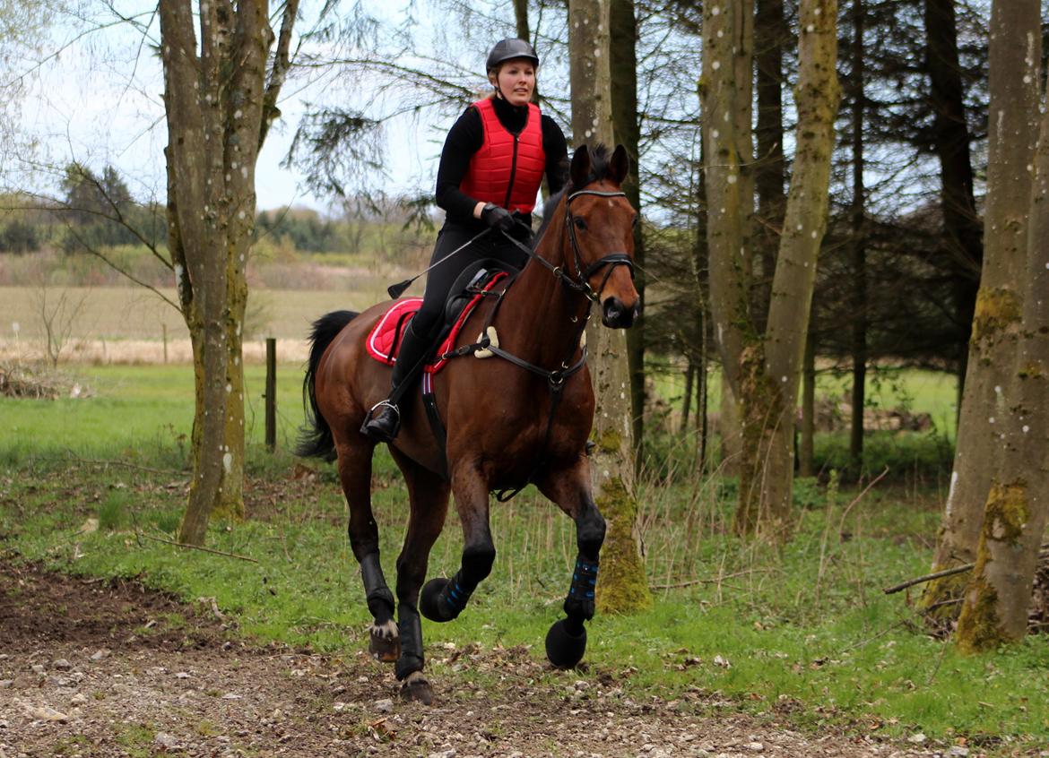 Terrænridning og Subaru Cup |  Emma Lindgreen Photography billede 16
