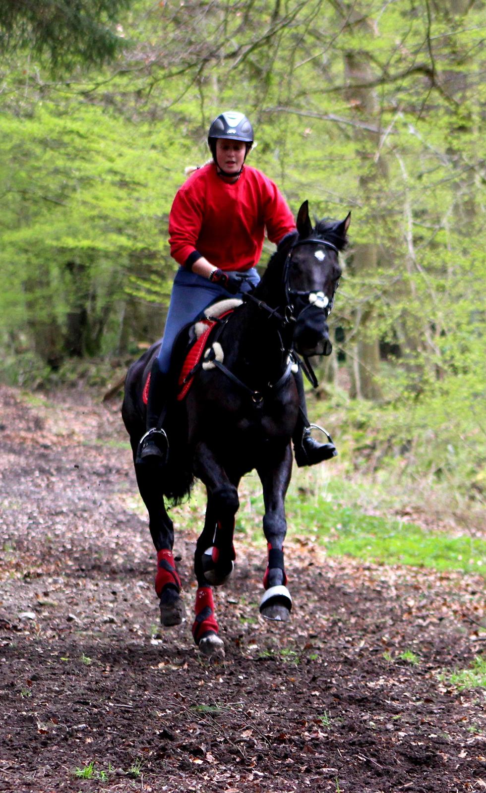 Terrænridning og Subaru Cup |  Emma Lindgreen Photography billede 17