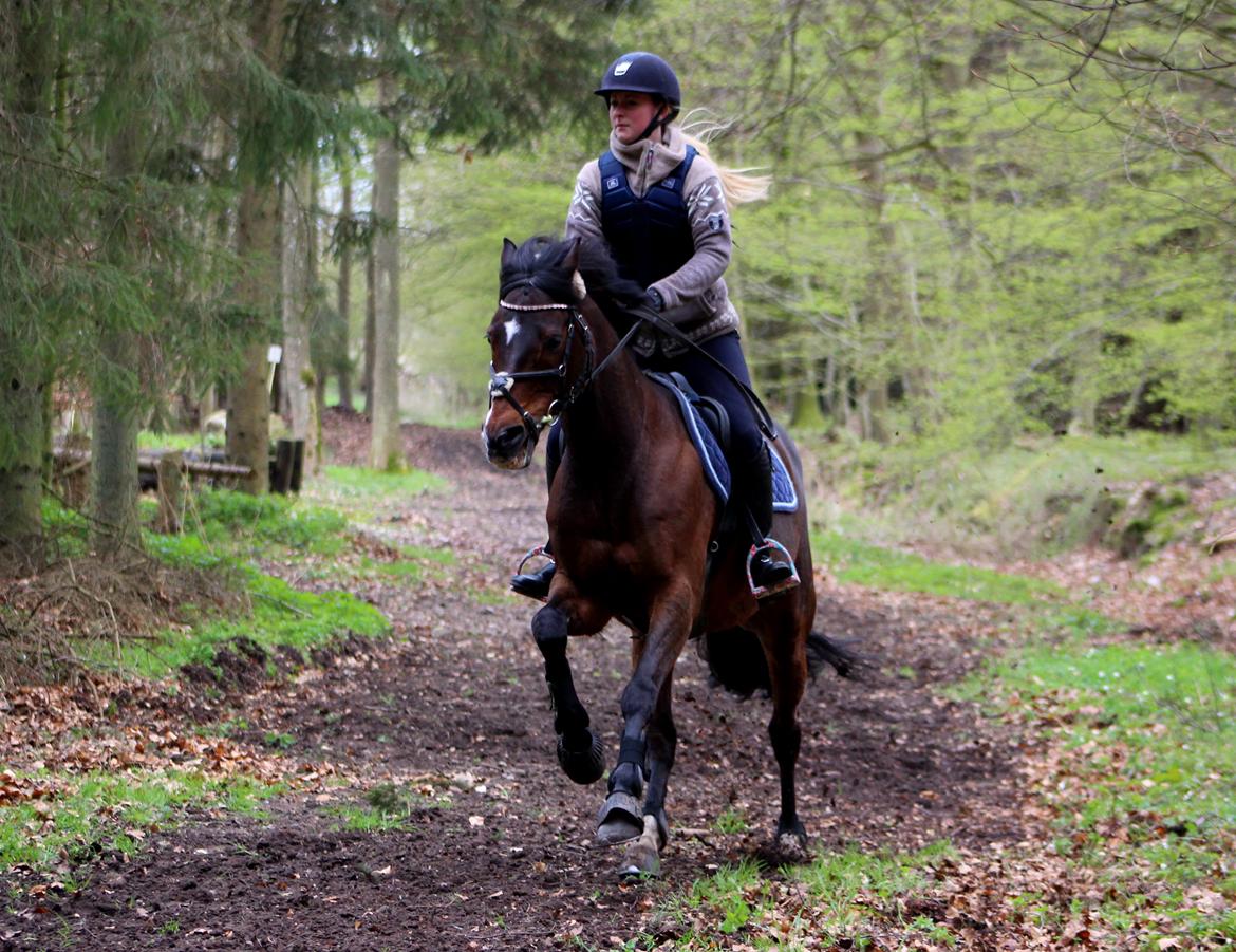 Terrænridning og Subaru Cup |  Emma Lindgreen Photography billede 18
