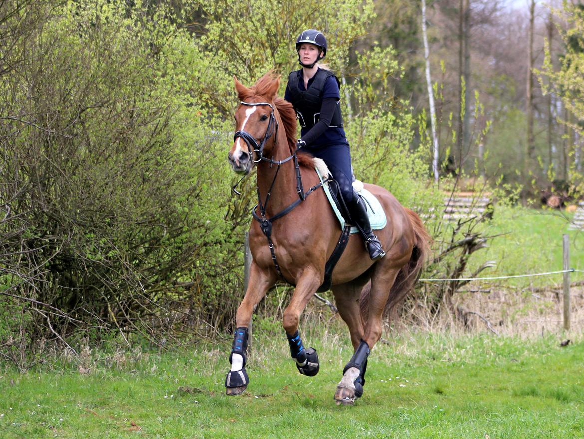 Terrænridning og Subaru Cup |  Emma Lindgreen Photography billede 19