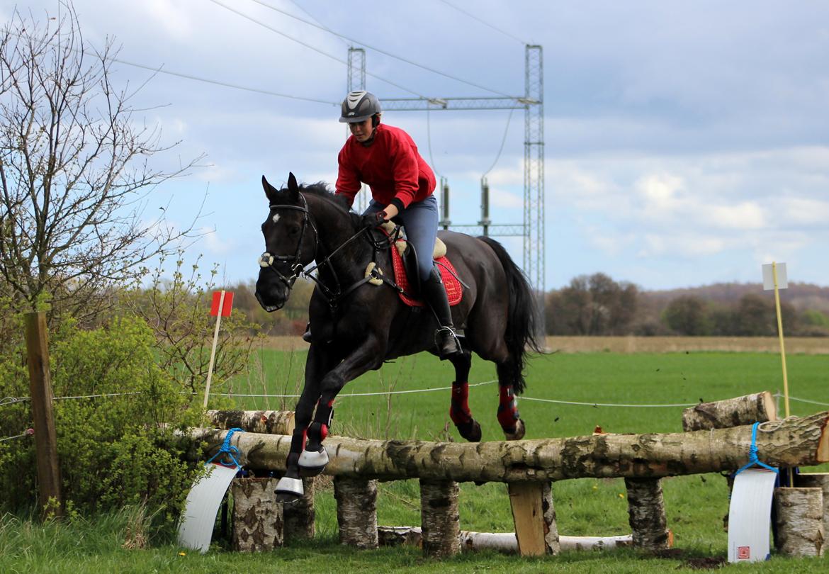 Terrænridning og Subaru Cup |  Emma Lindgreen Photography billede 20