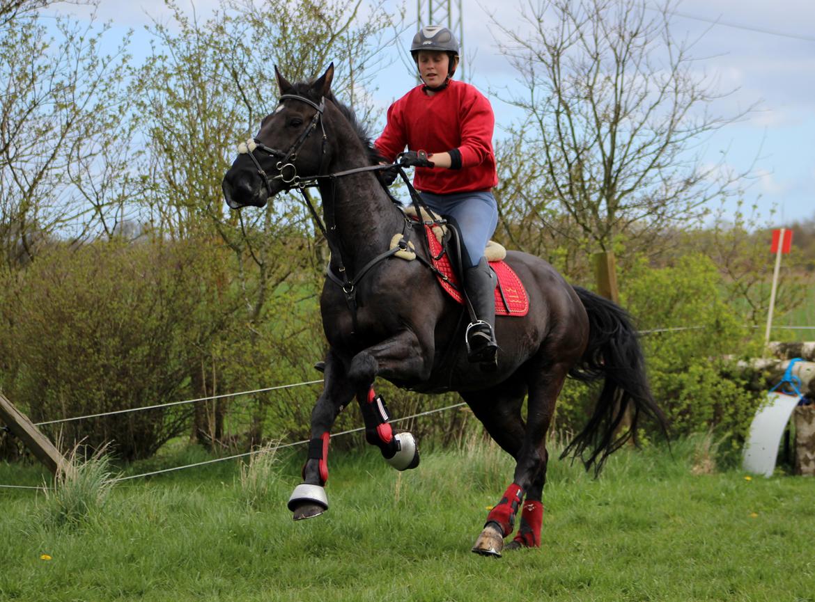 Terrænridning og Subaru Cup |  Emma Lindgreen Photography billede 21