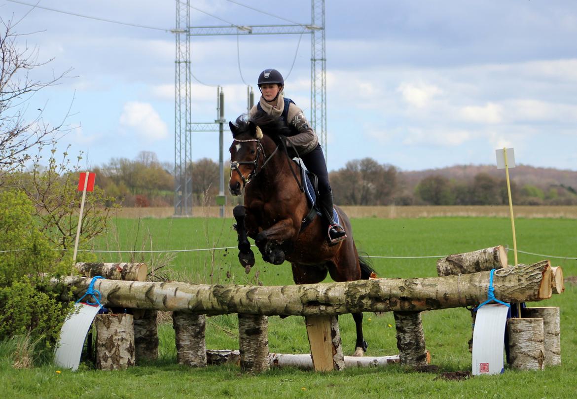 Terrænridning og Subaru Cup |  Emma Lindgreen Photography billede 22