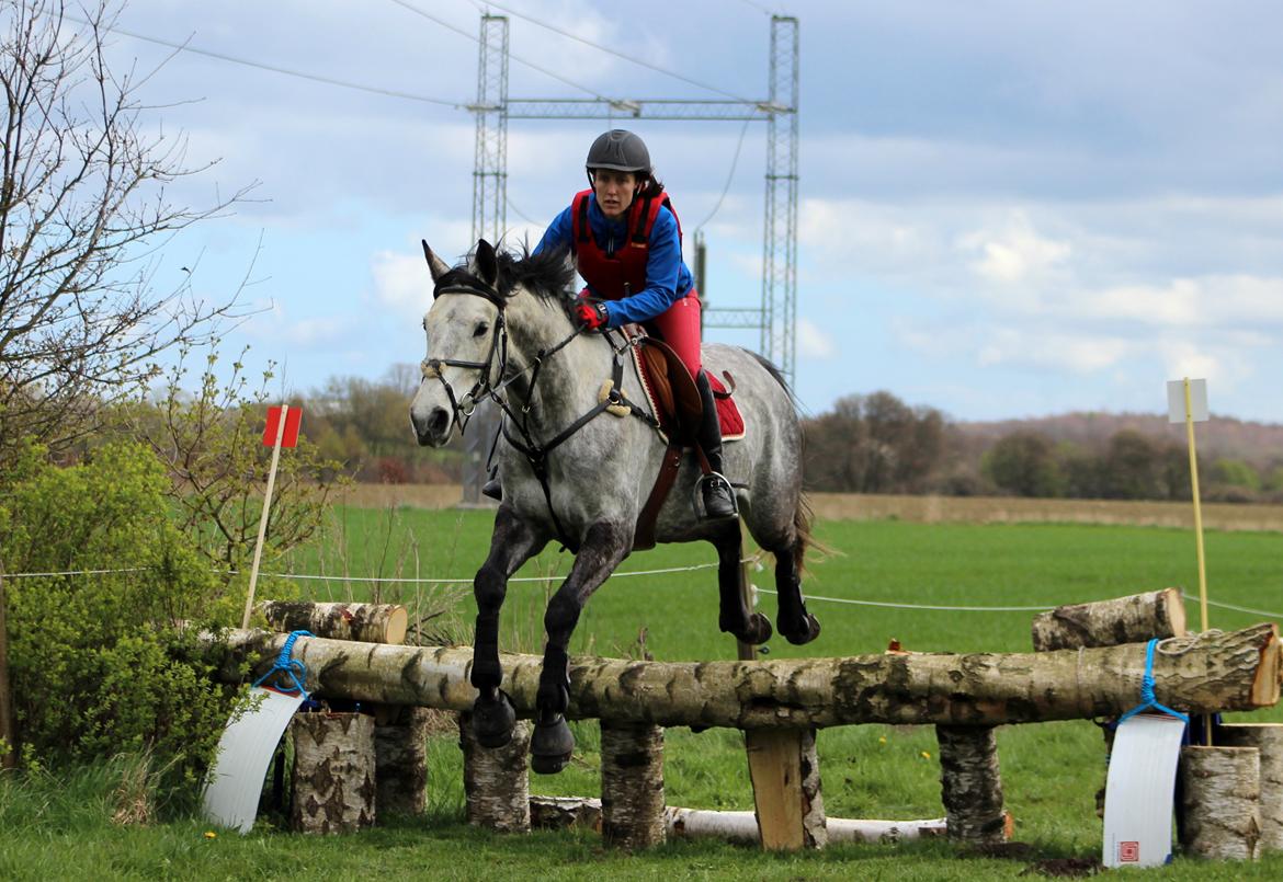 Terrænridning og Subaru Cup |  Emma Lindgreen Photography billede 23