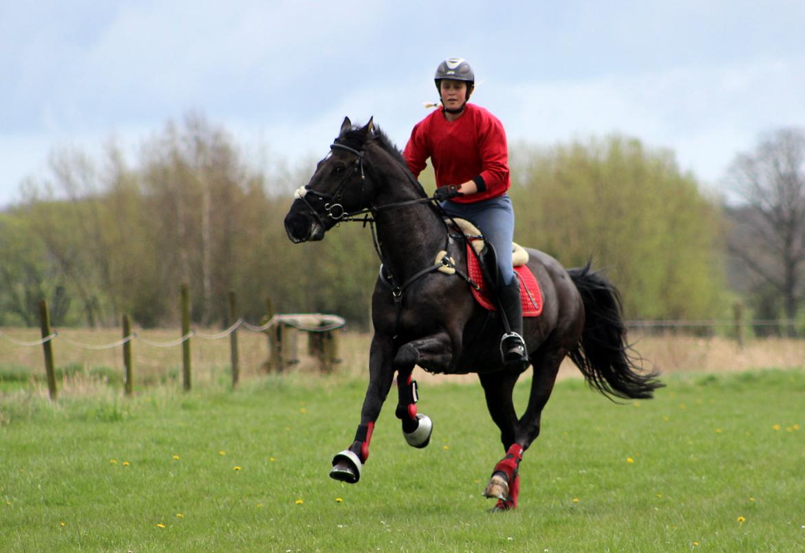 Terrænridning og Subaru Cup |  Emma Lindgreen Photography billede 24