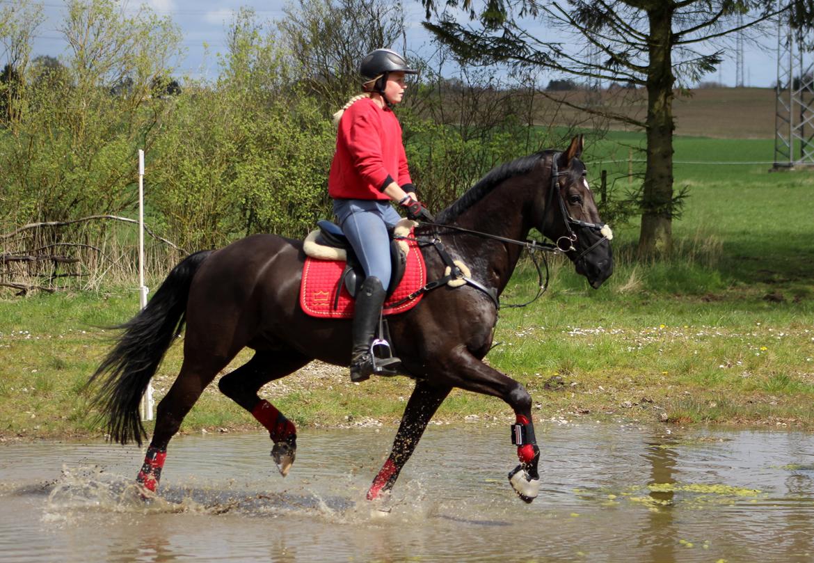 Terrænridning og Subaru Cup |  Emma Lindgreen Photography billede 13