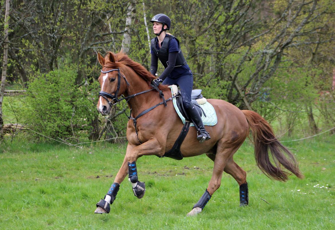 Terrænridning og Subaru Cup |  Emma Lindgreen Photography billede 26