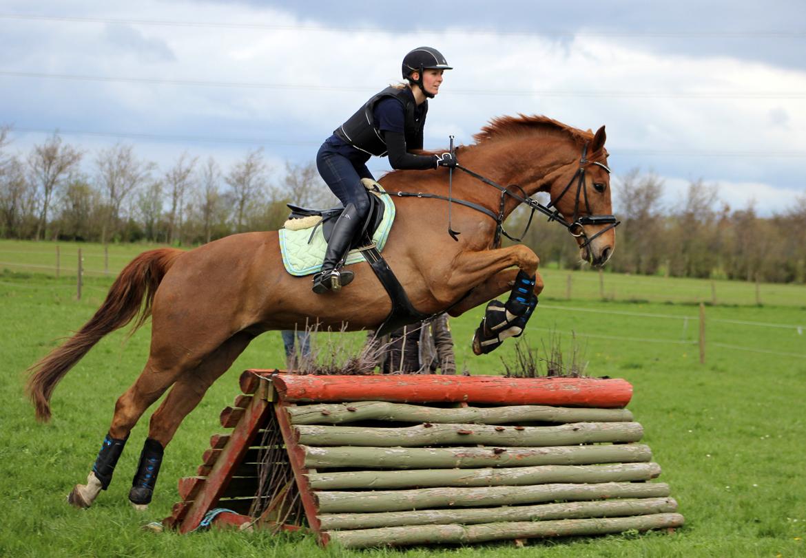 Terrænridning og Subaru Cup |  Emma Lindgreen Photography billede 28