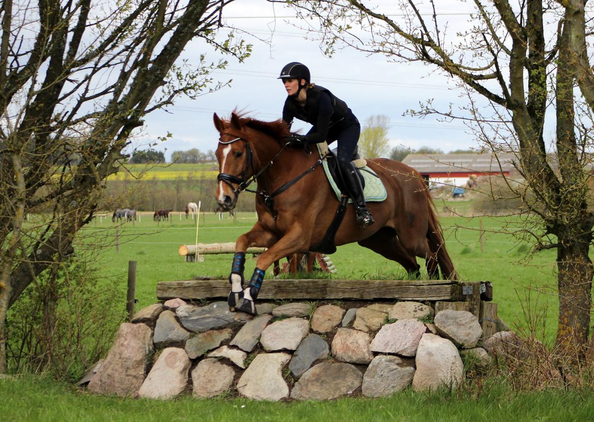 Terrænridning og Subaru Cup |  Emma Lindgreen Photography billede 31