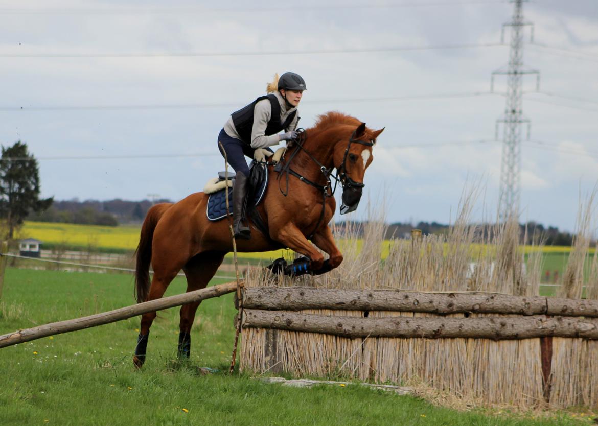 Terrænridning og Subaru Cup |  Emma Lindgreen Photography billede 33
