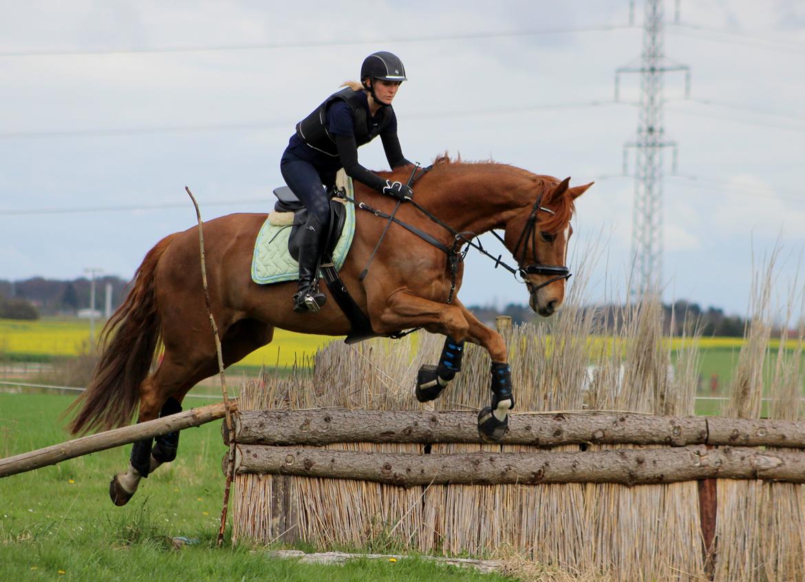 Terrænridning og Subaru Cup |  Emma Lindgreen Photography billede 32