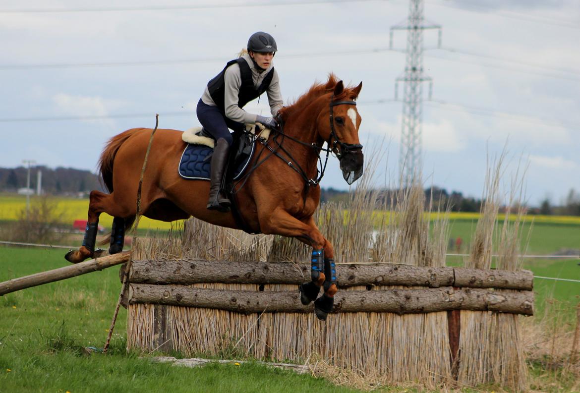 Terrænridning og Subaru Cup |  Emma Lindgreen Photography billede 35