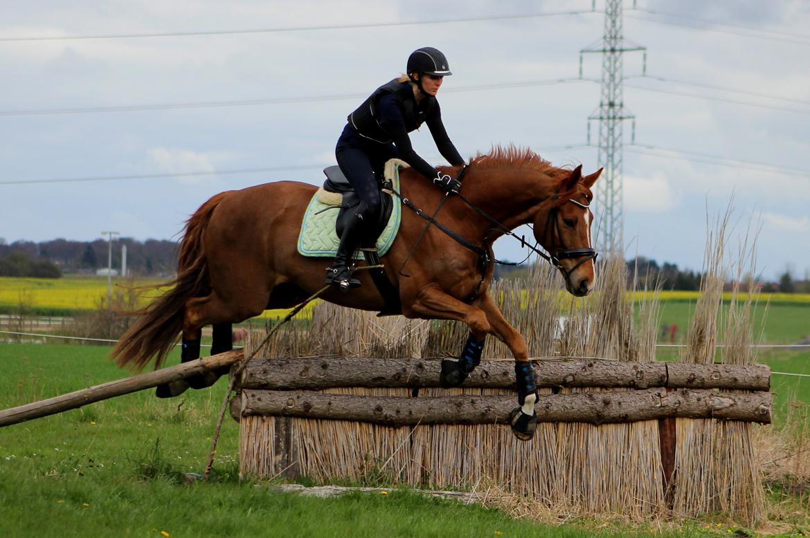 Terrænridning og Subaru Cup |  Emma Lindgreen Photography billede 34