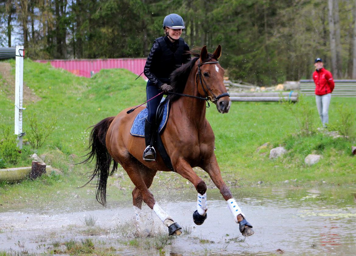 Terrænridning og Subaru Cup |  Emma Lindgreen Photography billede 37