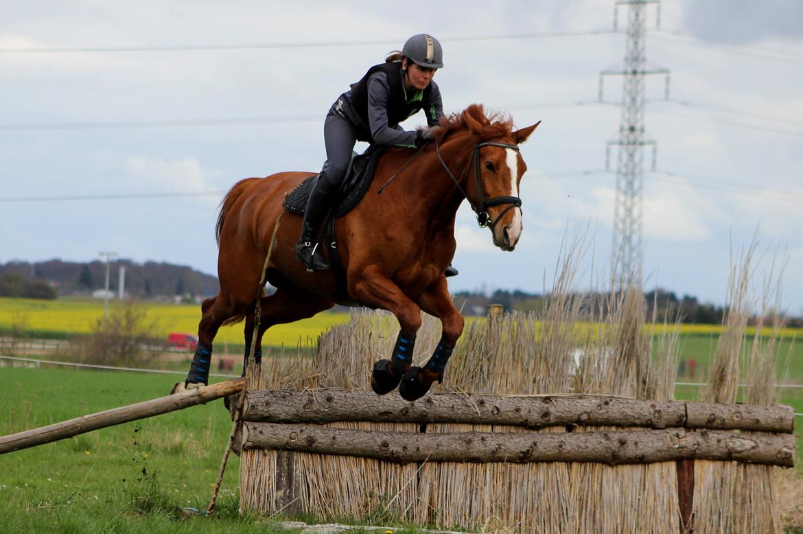 Terrænridning og Subaru Cup |  Emma Lindgreen Photography billede 36