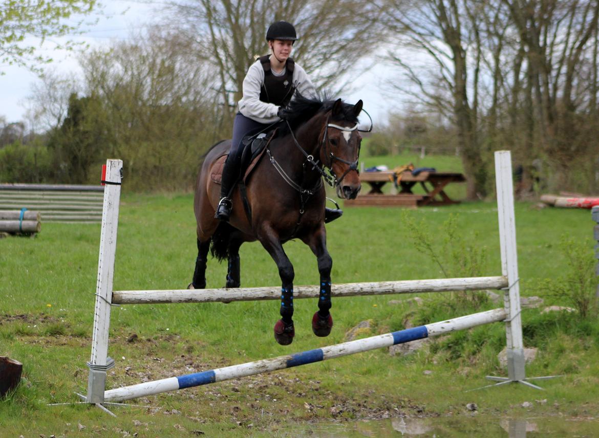 Terrænridning og Subaru Cup |  Emma Lindgreen Photography billede 38