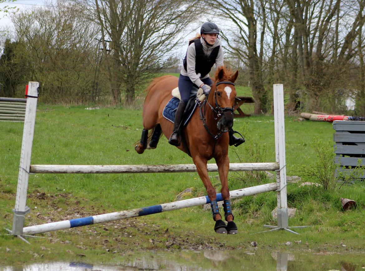 Terrænridning og Subaru Cup |  Emma Lindgreen Photography billede 40