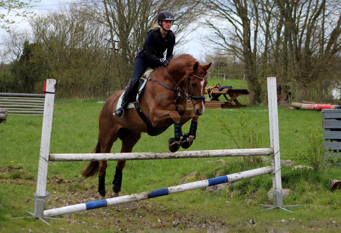 Terrænridning og Subaru Cup |  Emma Lindgreen Photography billede 39
