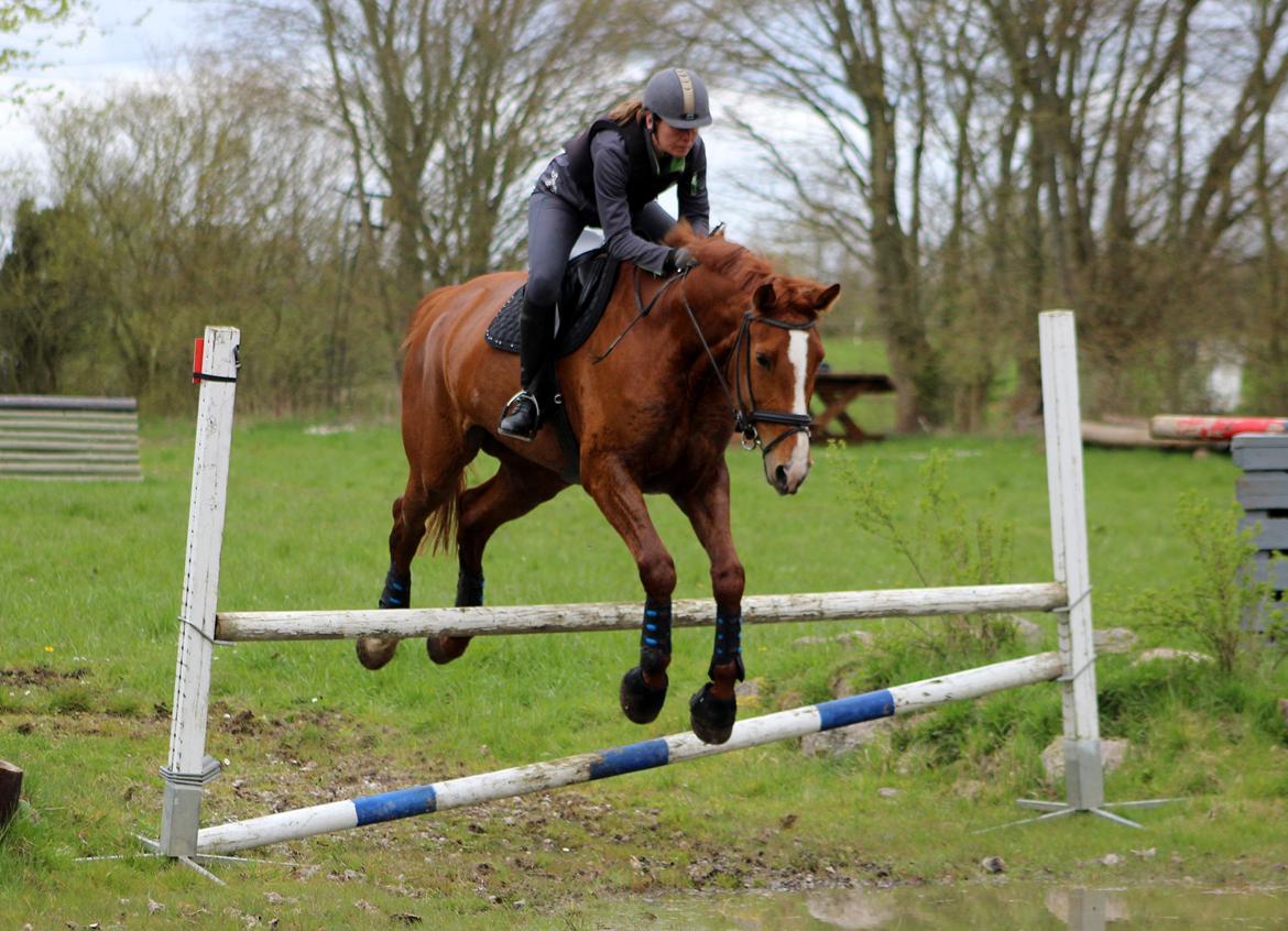 Terrænridning og Subaru Cup |  Emma Lindgreen Photography billede 41