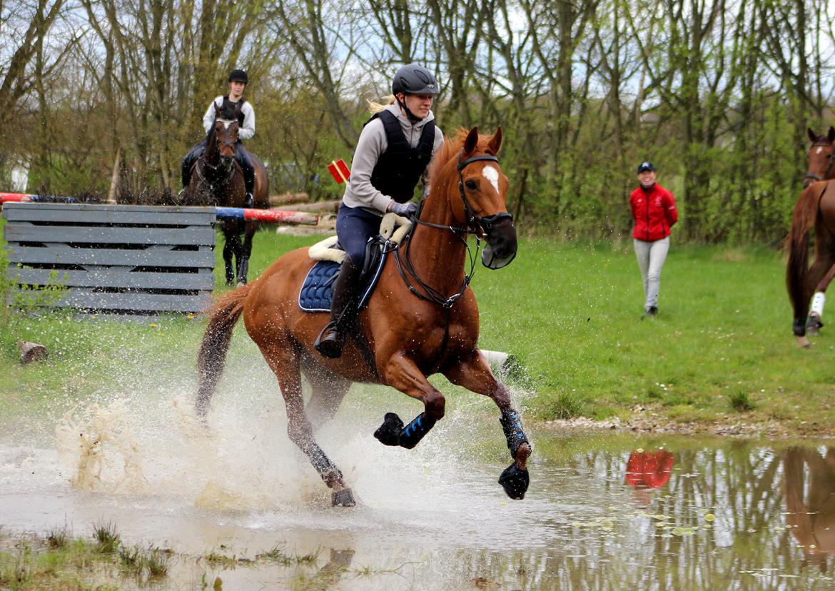 Terrænridning og Subaru Cup |  Emma Lindgreen Photography billede 43