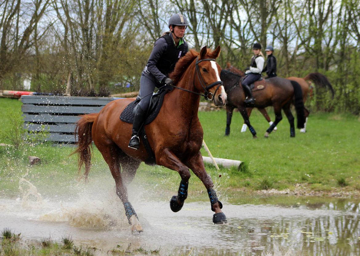 Terrænridning og Subaru Cup |  Emma Lindgreen Photography billede 44