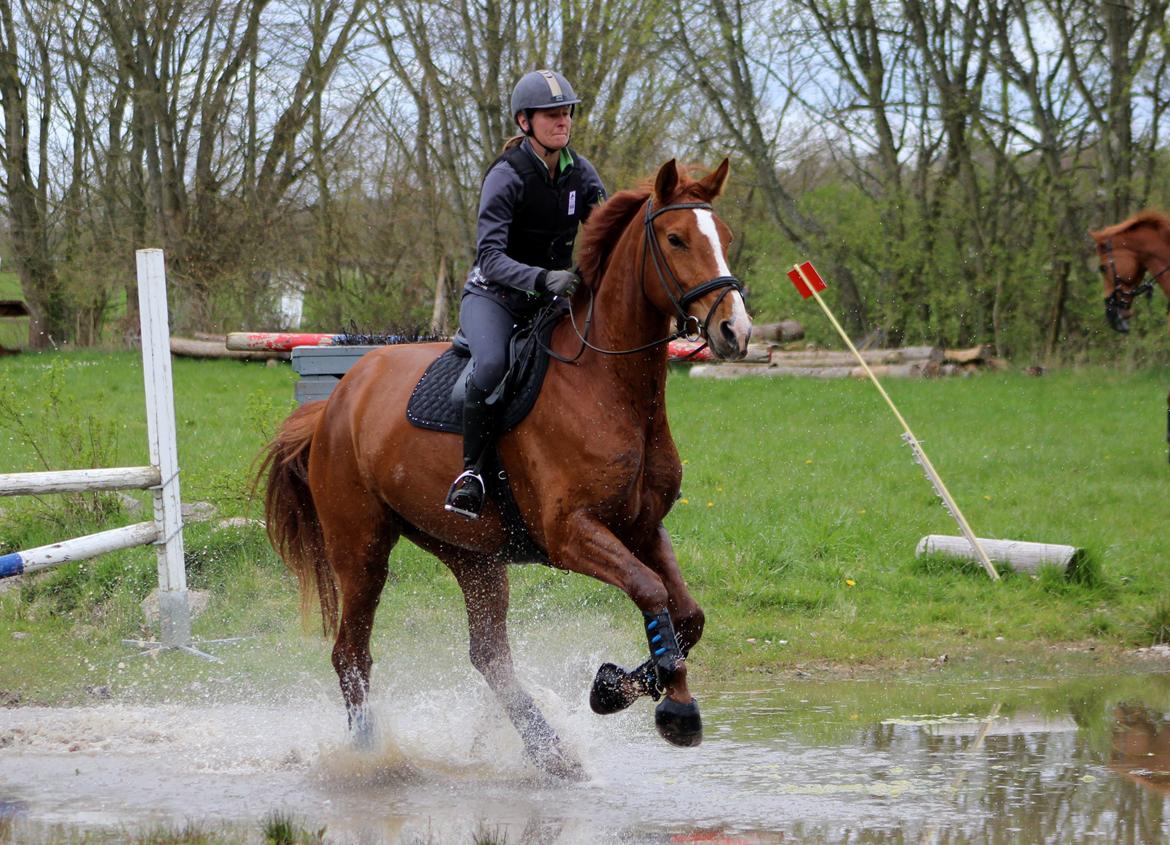Terrænridning og Subaru Cup |  Emma Lindgreen Photography billede 42